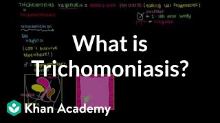 What is trichomoniasis  Infectious diseases  NCLEXRN  Khan Academy [upl. by Nuli]