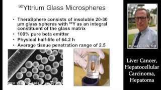 Hepatic Steatosis  Histopathology  Normal Liver Histology [upl. by Kared]