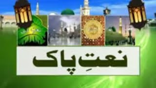 Naat E Paak  News18 Urdu  فاصلوں کو تکلف ہے ہم سے اگر  نعتِ پاک [upl. by Corabelle808]