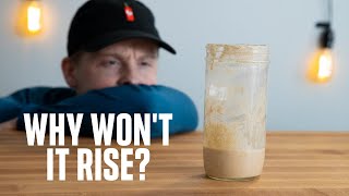 HOW TO FIX YOUR SOURDOUGH STARTER  Troubleshooting common issues [upl. by Adlog]