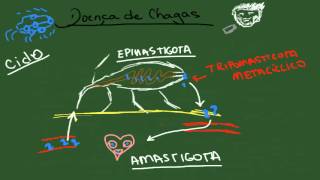 Chagas Abertas  Pe Fábio de Melo [upl. by Docilla890]