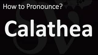 How to Pronounce Calathea CORRECTLY [upl. by Zuzana]