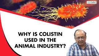 Dr Sunil Gupta  why is colistin used in animal industry [upl. by Ynwat]