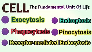 Exocytosis  Endocytosis  Phagocytosis  Pinocytosis  Receptor Mediated Endocytosis REM [upl. by Sirtimid293]