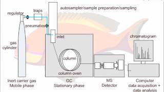 Strategies for GCMS Method Development [upl. by Mandel330]