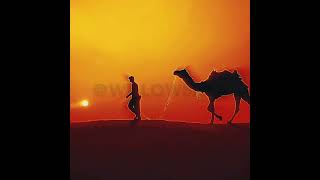 🐫 Camel edit  🐪 [upl. by Lesde]