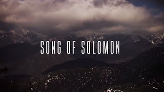 Song of Solomon Official Lyric Video  Martin Smith [upl. by Ettelliw222]